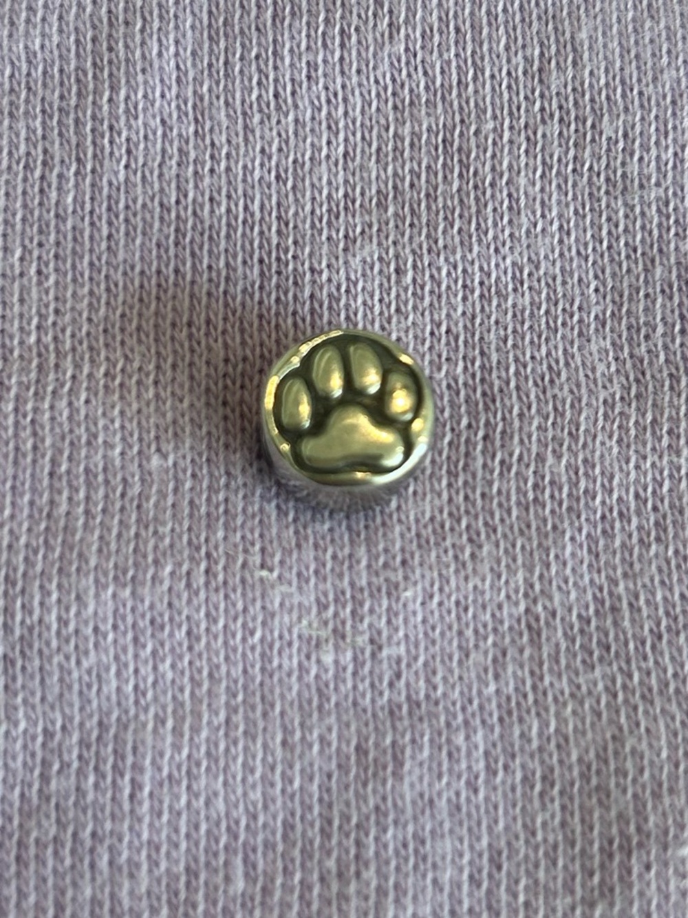 Halia "Leaving Their Mark" Paw Print Charm - Sterling Silver